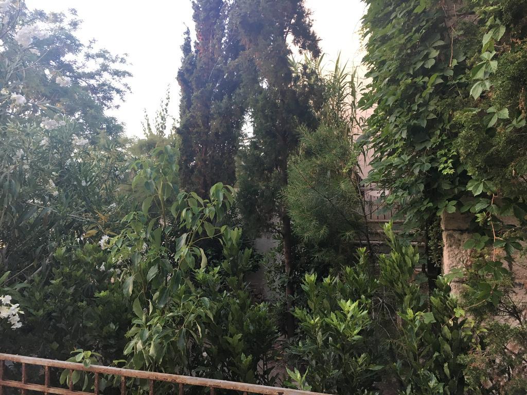 Guesthouse Villa Colenda Korčula Kültér fotó